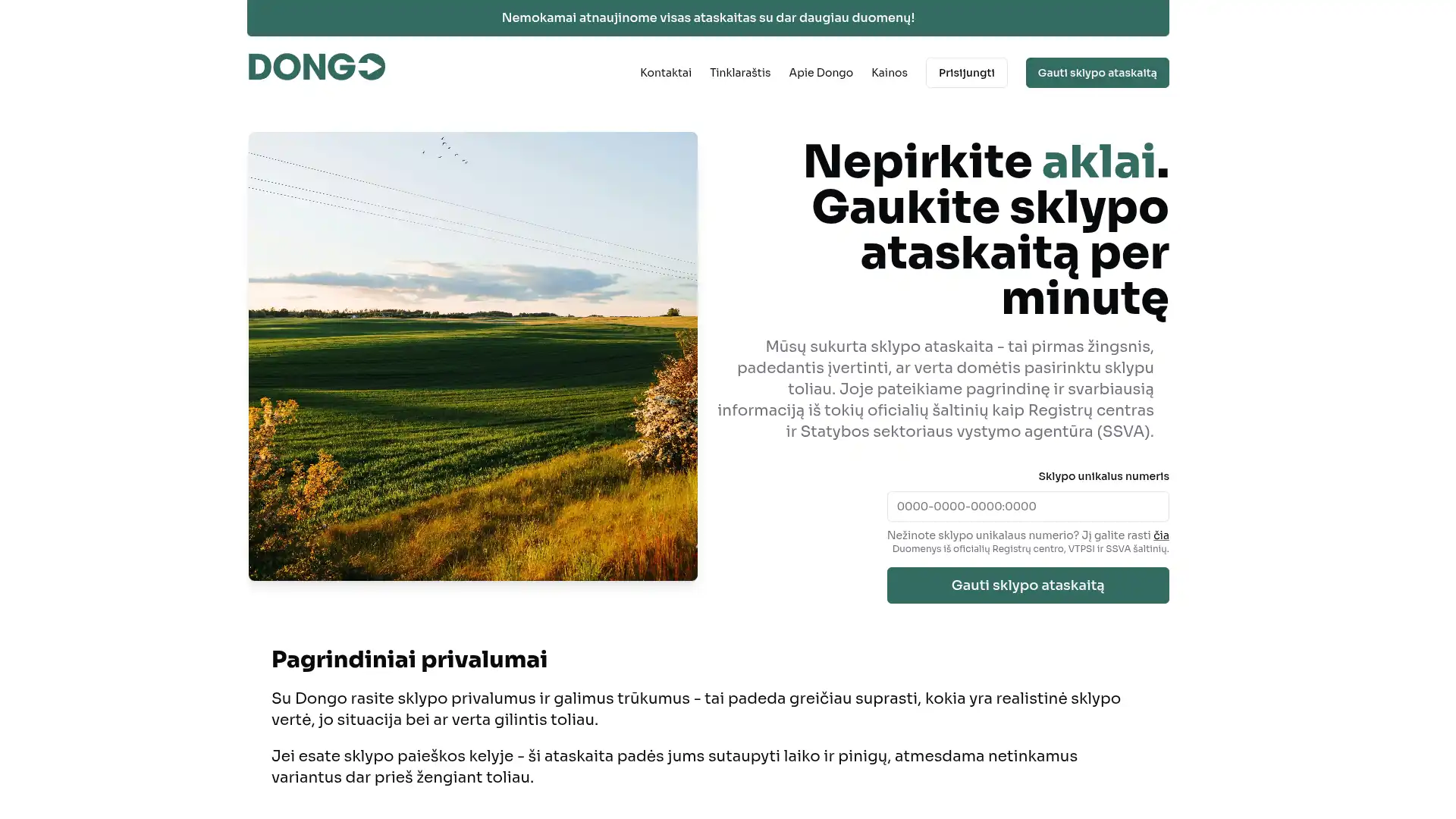 www.dongo.lt project cover