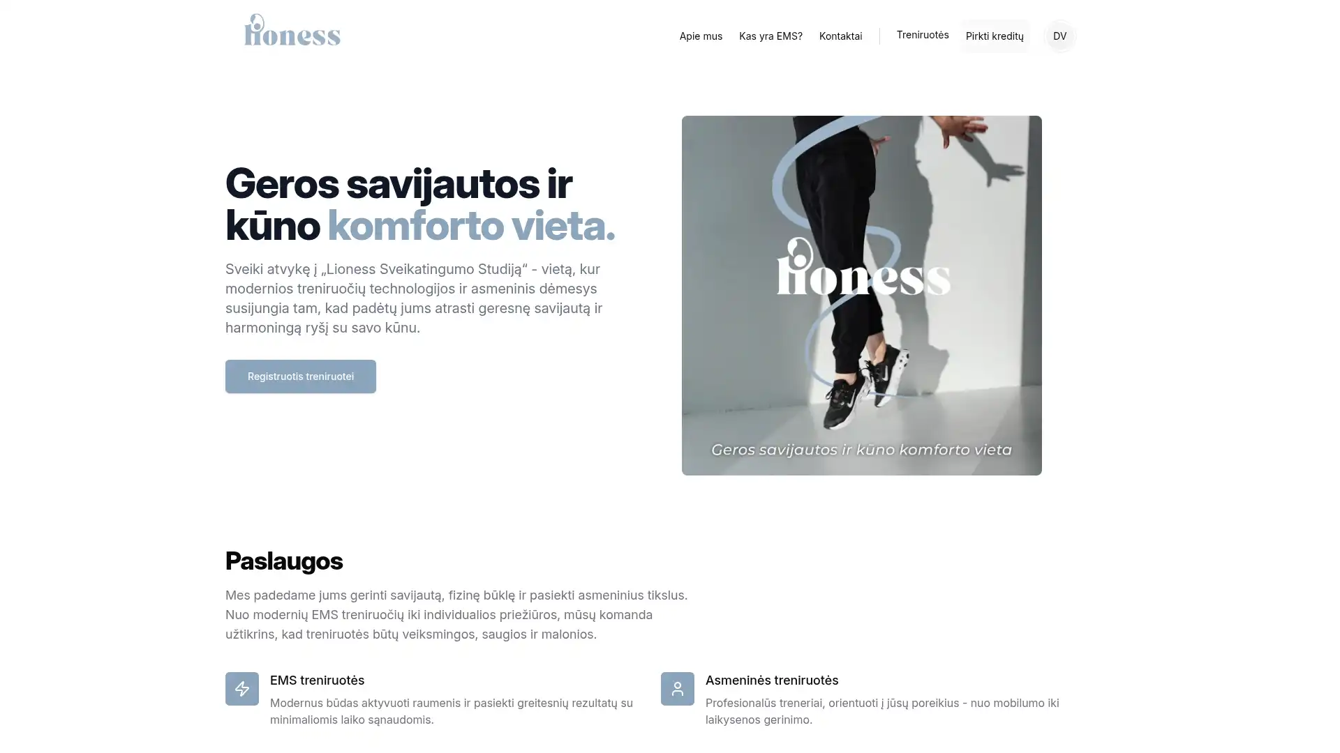 www.lioness.lt project cover