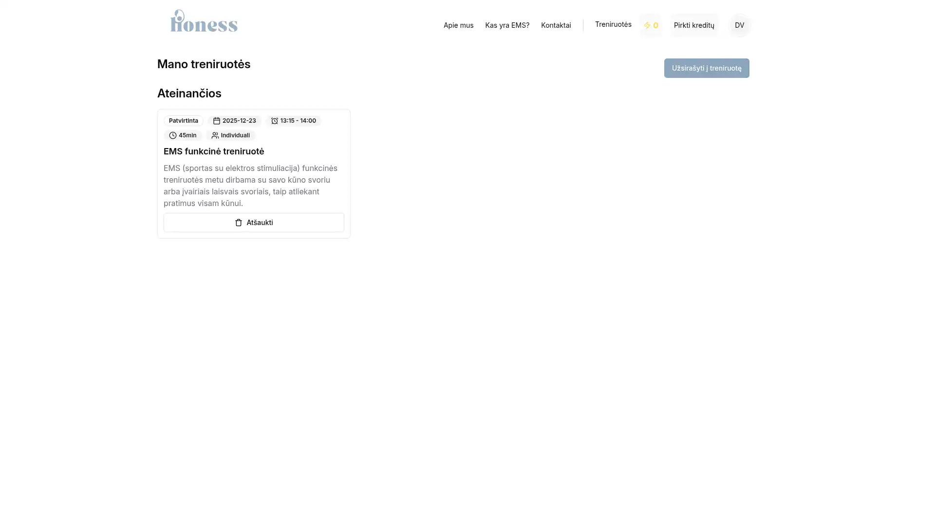 www.lioness.lt screenshot 4
