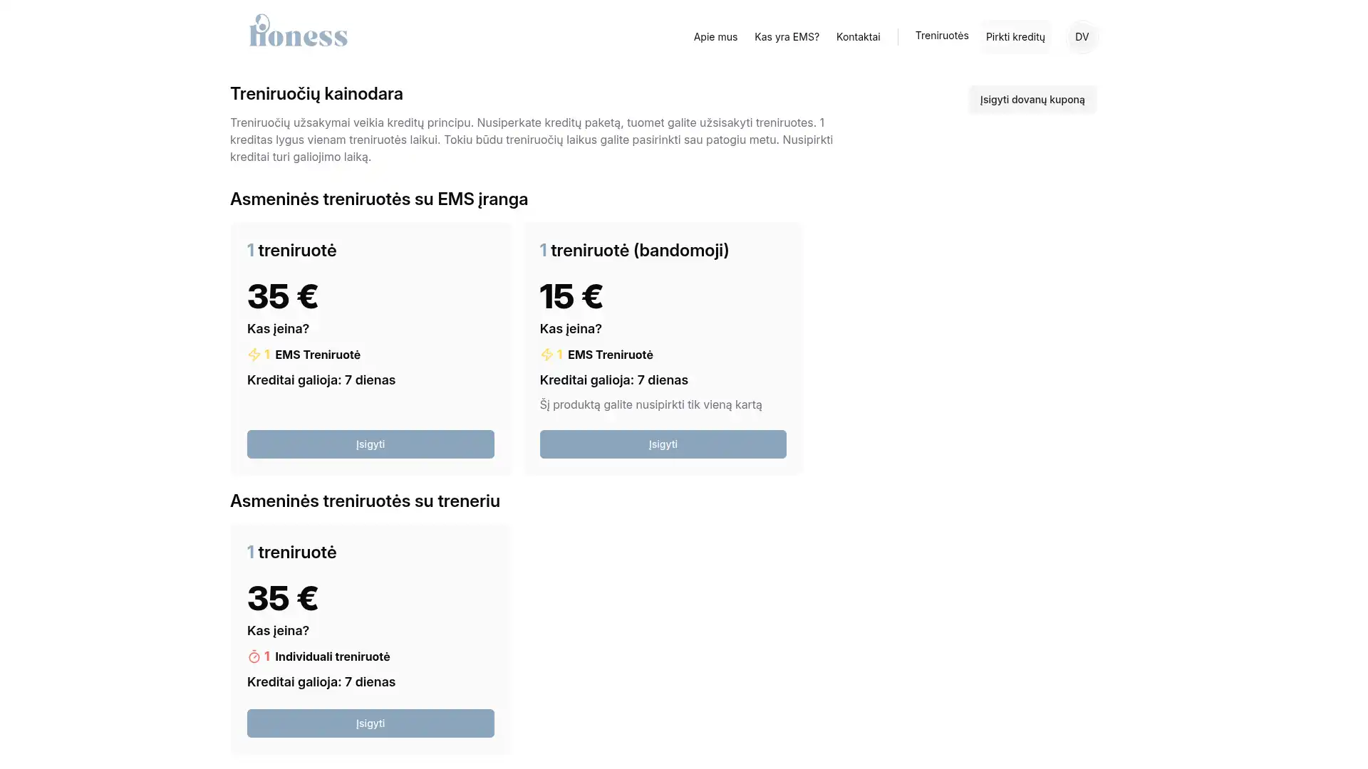 www.lioness.lt screenshot 2