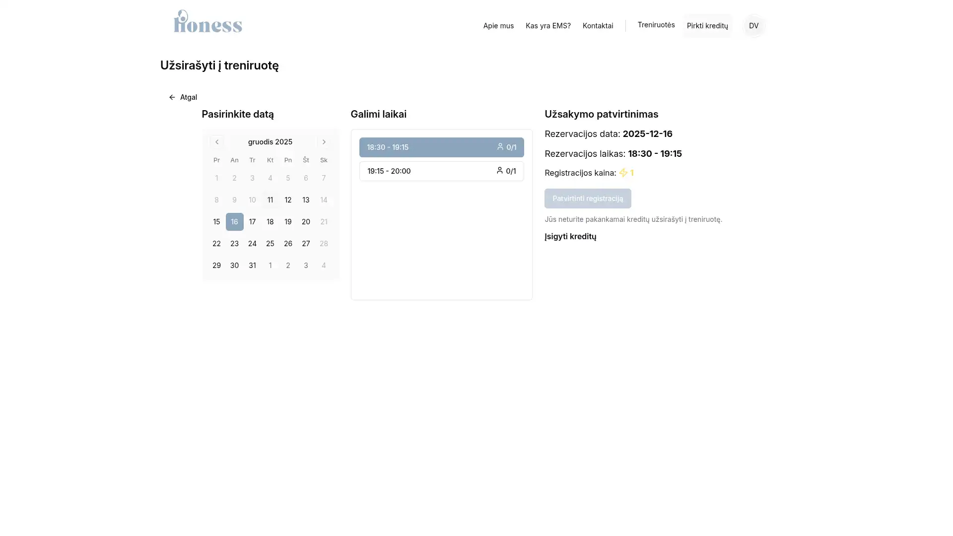 www.lioness.lt screenshot 3